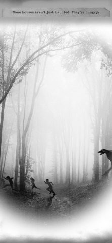 Shadow House для iOS — скриншот 5