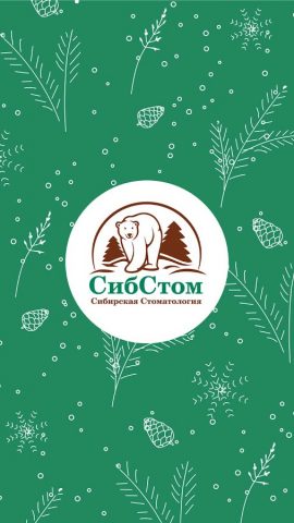 СибСтом для Android — скриншот 1