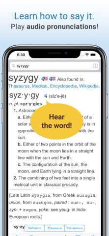 Словарь для iOS — скриншот 3