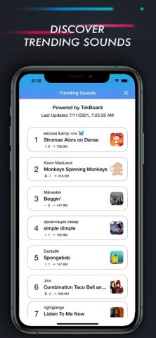 SnapTik — Video Saver Manager для iOS — скриншот 4