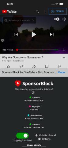 SponsorBlock для YouTube для iOS — скриншот 1