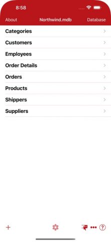 Средство просмотра MS Access для iOS — скриншот 1