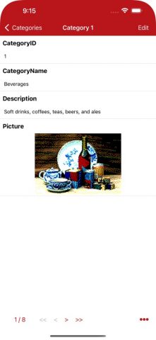 Средство просмотра MS Access для iOS — скриншот 3