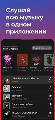 Стащи свою музыку для iOS — скриншот 3