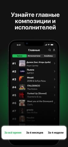 Stats for Spotify Music для iOS — скриншот 3