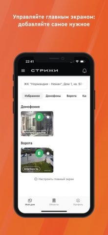 Стрижи. Дом для iOS — скриншот 2
