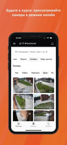 Стрижи. Дом для iOS — скриншот 3