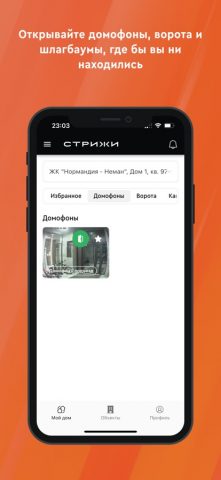 Стрижи. Дом для iOS — скриншот 4