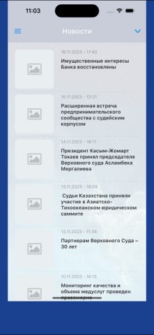 Sud.kz для iOS — скриншот 2