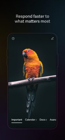 Superhuman Mail для iOS — скриншот 2