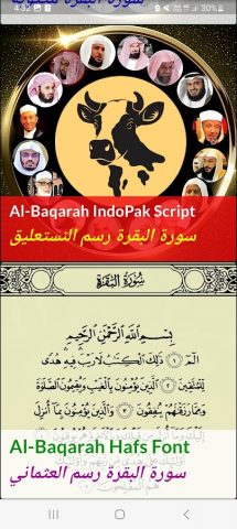 Surah Al Baqarah MP3 Offline для Android — скриншот 3