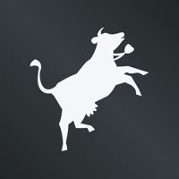 Swisscows Private Search для iOS