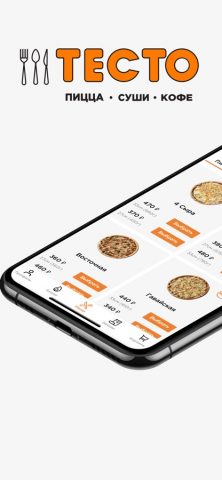 ТЕСТО для iOS — скриншот 1