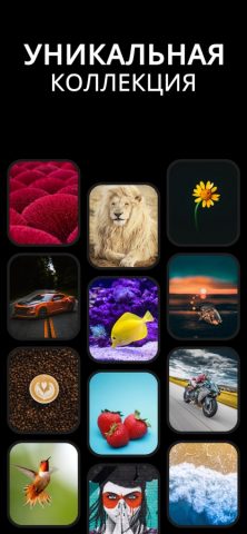 Циферблаты для iOS — скриншот 4