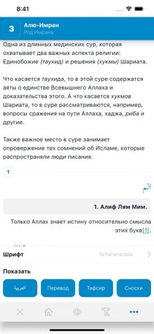 Тафсир Корана для iOS — скриншот 3