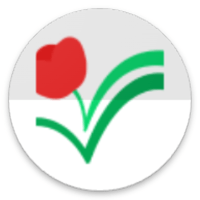 Татар теле 2024 для iOS