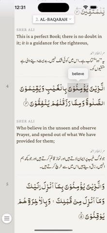 The Holy Quran  القرآن الکریم для iOS — скриншот 2