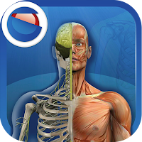 The Human Body для Android