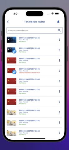 Топливные карты для iOS — скриншот 5