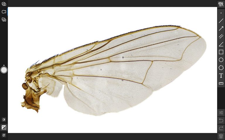 ToupView для Android — скриншот 3