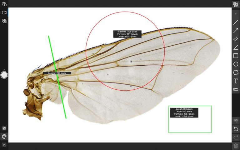 ToupView для Android — скриншот 4