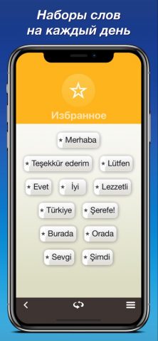 Турецкий язык с Nemo для iOS — скриншот 4