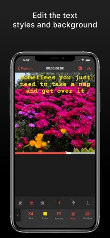 Typewriter: Typing Video Maker — скриншот 2