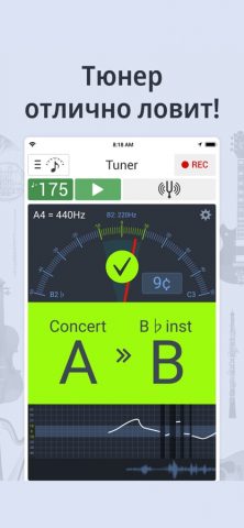 Тюнер и Метроном для iOS — скриншот 3