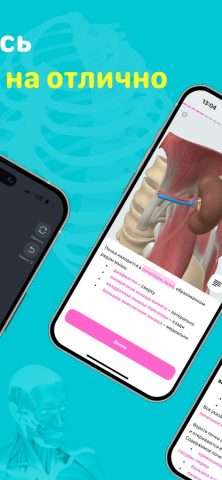 Учи Мед (Учи Анат) для iOS — скриншот 2