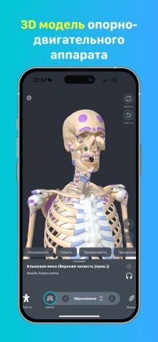 Учи Мед (Учи Анат) для iOS — скриншот 4