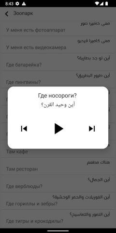 Учи русский для Android — скриншот 3