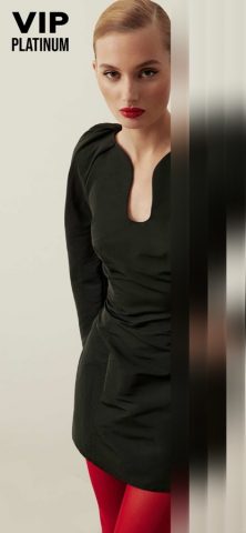 VIP Platinum для iOS — скриншот 1