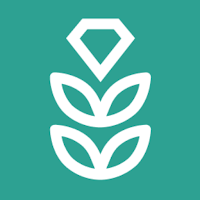 VPN Rice: Быстрый и Безопасный для Android