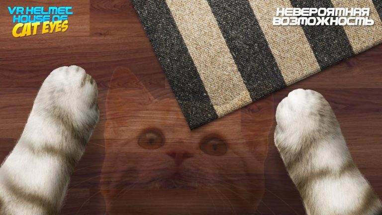 VR Шлем Дом Глазами Кота для Android — скриншот 2