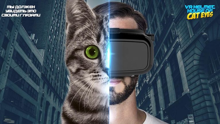 VR Шлем Дом Глазами Кота для Android — скриншот 3