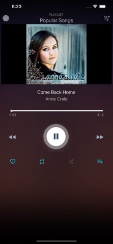 Vanced Tube Music Streamer для iOS — скриншот 2