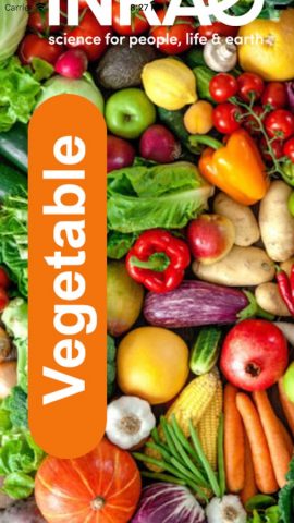Vegetable для Android — скриншот 1