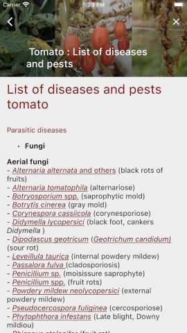 Vegetable для Android — скриншот 3