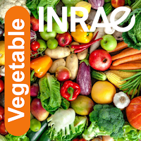 Vegetable для Android