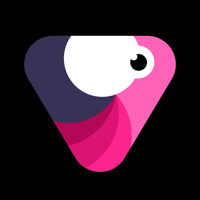 Velomingo: Velocity Edit Maker для iOS