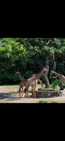 Video Crop — Resize Video для iOS — скриншот 3