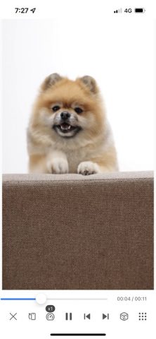 Video Saver & Player / iCap для iOS — скриншот 4