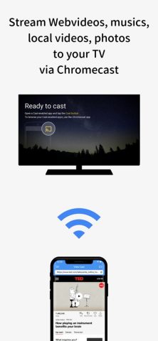 Video Stream for Chromecast для iOS — скриншот 1