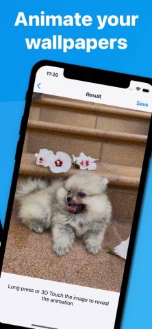 Video to Live Wallpaper — скриншот 2