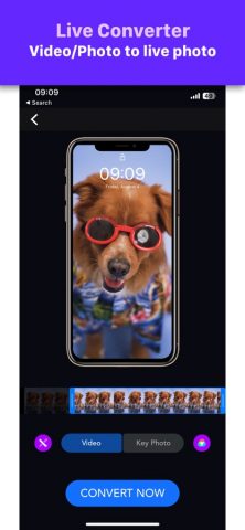 VideoToLive для iOS — скриншот 2