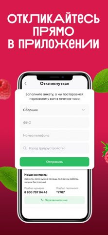 ВкусВилл Вакансии・Поиск работы — скриншот 3