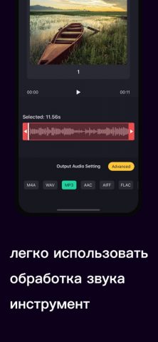 Vocal Separator-Vocal Remover для iOS — скриншот 4