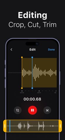 Voice Recorder: AI Note Taker для iOS — скриншот 4