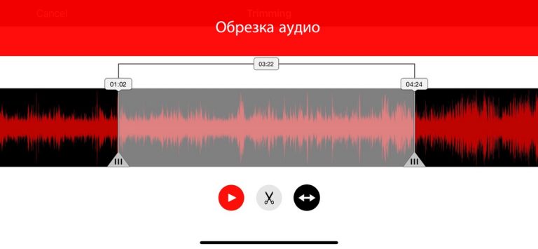 Voice Recorder Lite: Запись HD для iOS — скриншот 3
