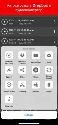 Voice Recorder : Запись аудио для iOS — скриншот 4